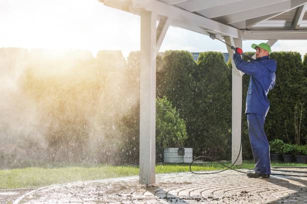 Best Driveway Pressure Washing  in Country Lake Estates, NJ